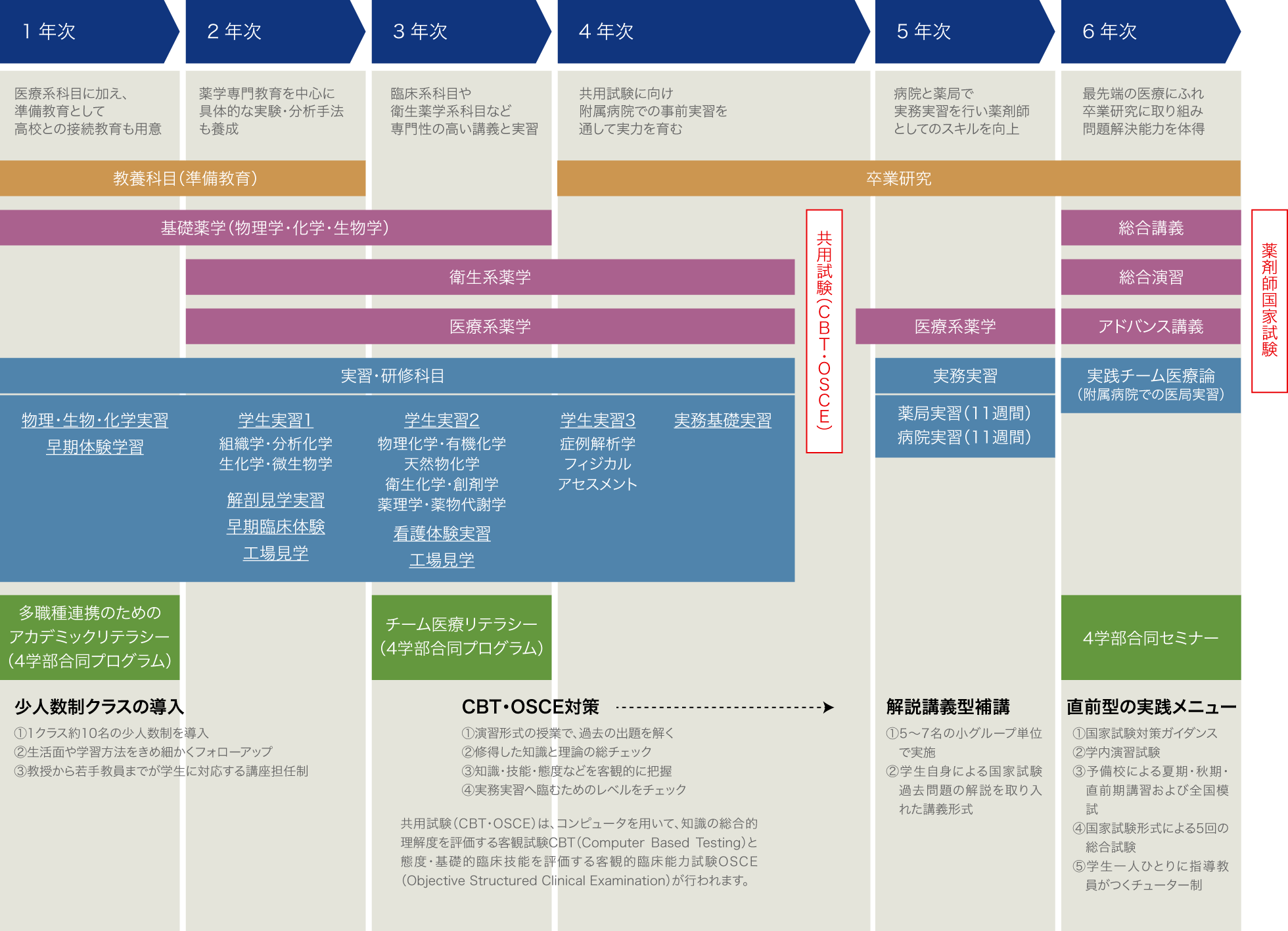 岩手医科大学薬学部でのカリキュラム／実習・研究